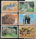 25Pcs Wooden Animal Puzzle(2D)