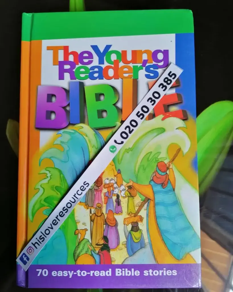 The Young Reader Bible