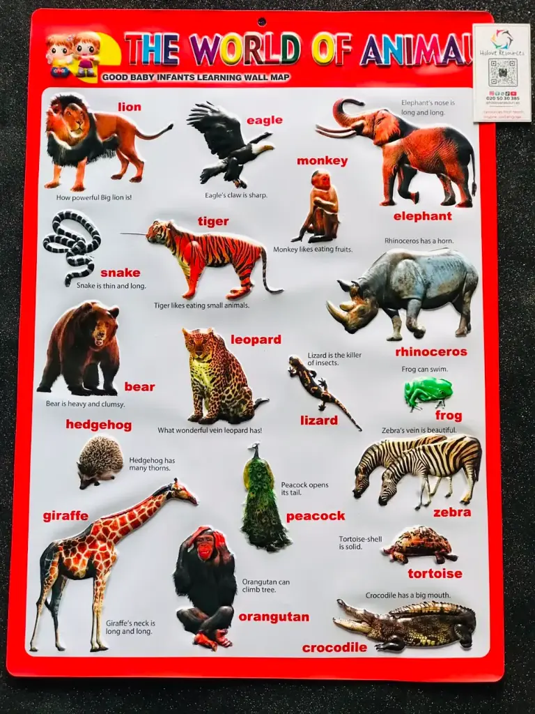 Lovely Wild Animal Kingdom
