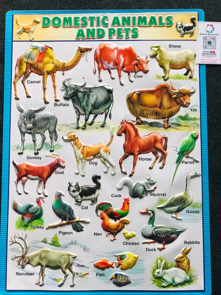 Domestic Animal & Pet Wallchart
