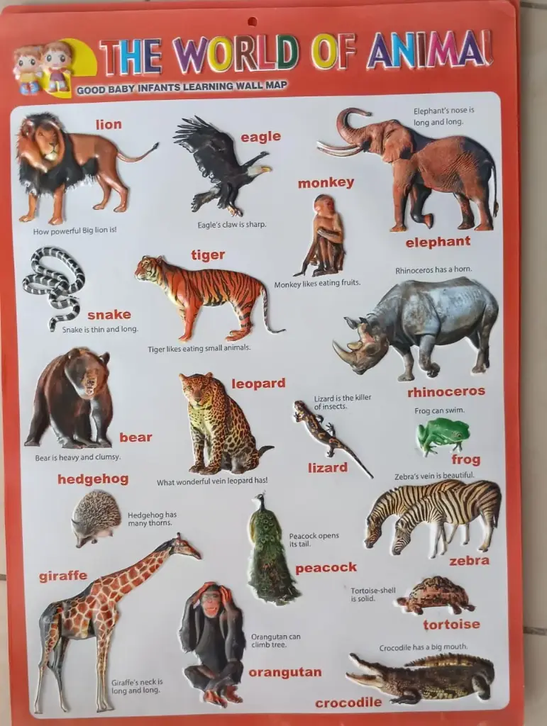 The World of Animals Wallchart