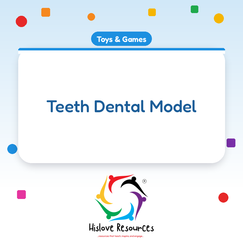 Teeth Dental Model