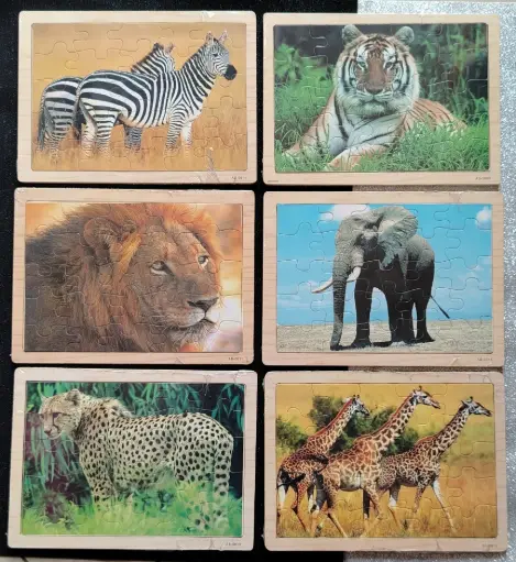 25Pcs Wooden Animal Puzzle(2D)