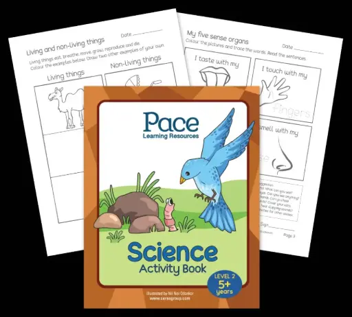 Pace Science Activity 5