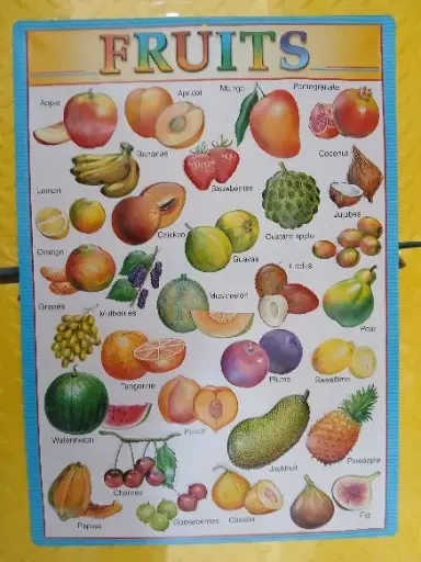 Fruits Wallchart