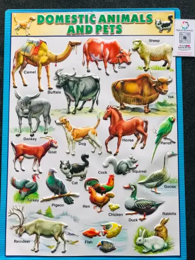 Domestic Animal & Pet Wallchart