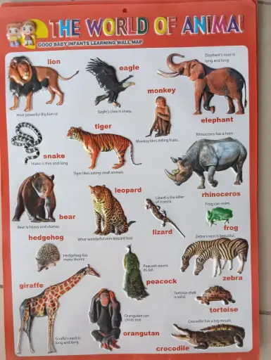 The World of Animals Wallchart