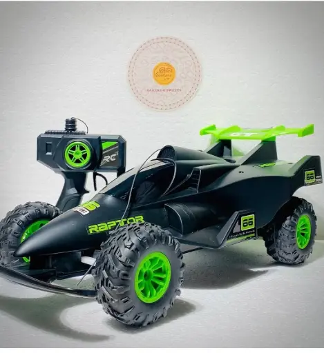 Raptor RC Buggy (Remote Car) 
