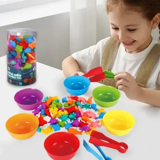 Classification toy