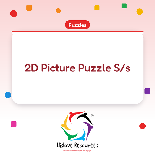 2D Picture Puzzle S/s
