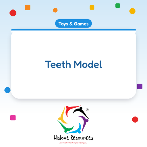 Teeth Model