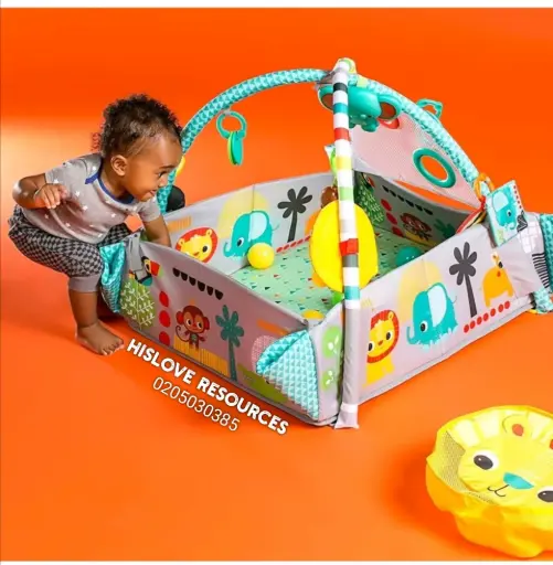 Activity Gym & Ball Pit