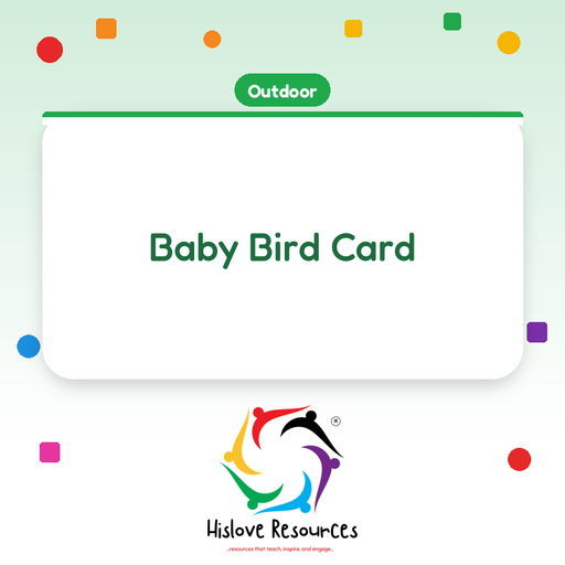 Baby Bird Card